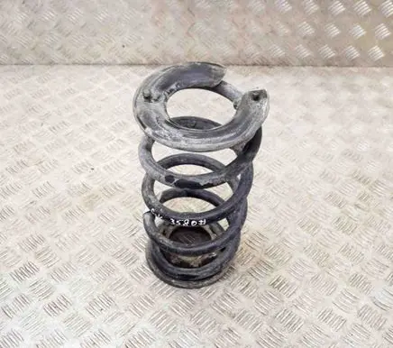 Tesla Model 3 Rear coil spring 104447201C