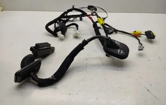 Front door wiring loom