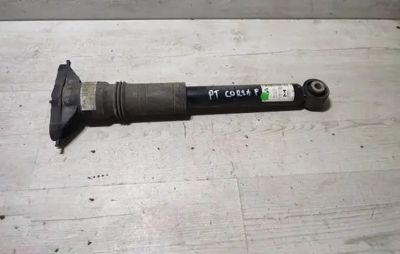 Opel Corsa F Rear shock absorber/damper 9837467280