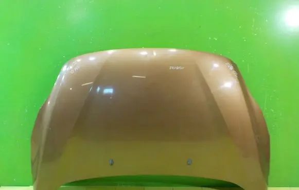 Ford C-MAX II Engine bonnet/hood 17AB122