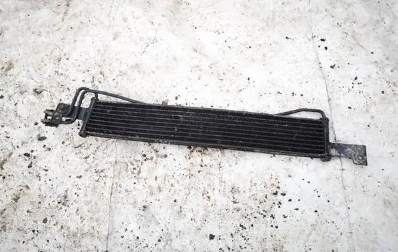 Hyundai Santa Fe Fuel cooler (radiator) 