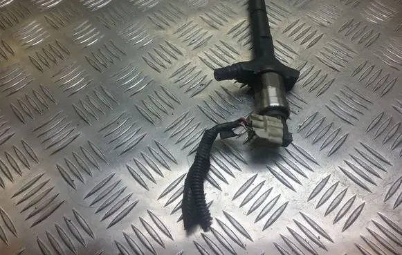 Renault Espace - Grand espace IV Fuel injector 8972391617