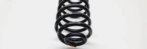 Opel Zafira A Rear coil spring