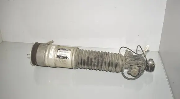 Rear shock absorber/damper