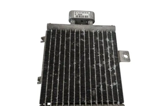 Mercedes-Benz CL C215 Engine oil radiator A2155000000