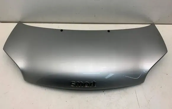 Engine bonnet/hood