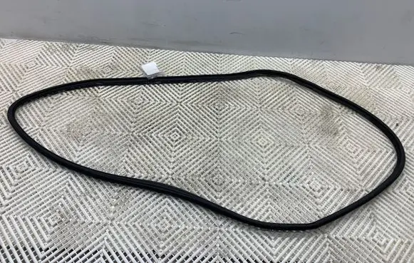 Toyota Corolla E210 E21 Rubber seal front door (on door) 