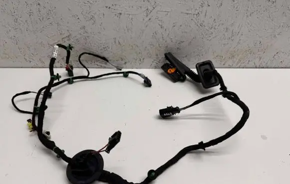 Seat Arona Front door wiring loom 6F1971121G