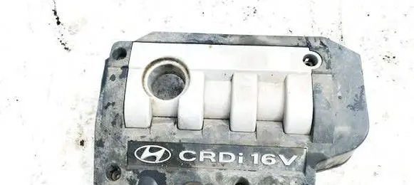Hyundai Santa Fe Engine cover (trim) 2924027101