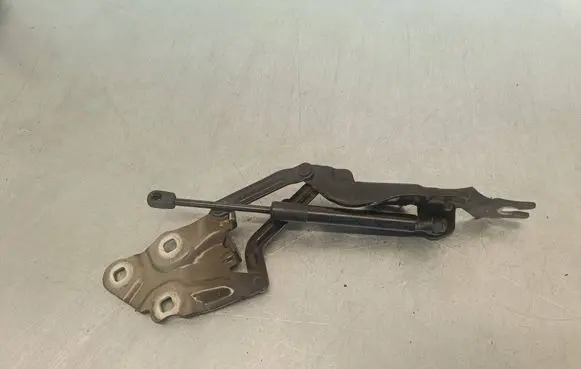 BMW X3 F25 Engine bonnet/hood hinges 7210730
