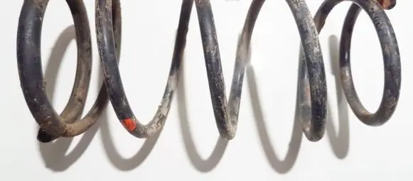 Rear coil spring