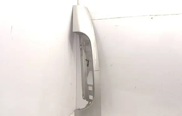 Rear/tail light trim molding