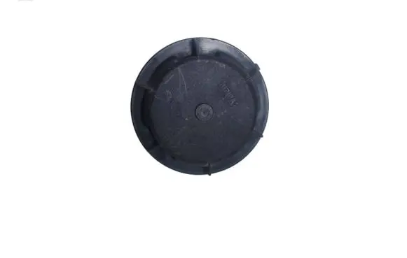 Renault Laguna II Headlight/headlamp dust cover 89001811