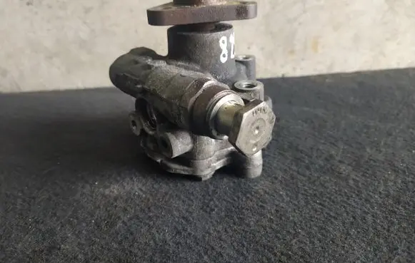 Volkswagen PASSAT B5.5 Power steering pump