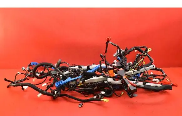 Tesla Model Y Other wiring loom 248904200C