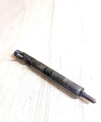 Renault Megane II Fuel injector EJBR05102D 1813AB10W15