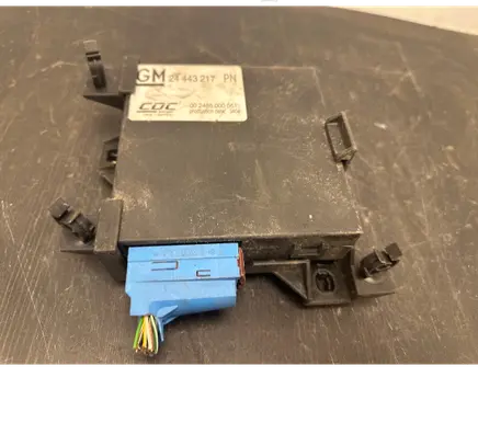 Opel Vectra C Suspension control unit/module 24443217 002485000051