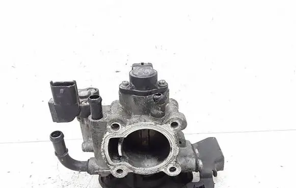 Hyundai i20 (PB PBT) Throttle valve 9600930006