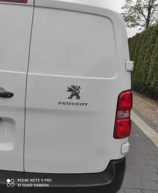 Peugeot Expert Back/rear loading door PEUGETEXPERTIII TWOJEAUTOWYSZKOW EWP