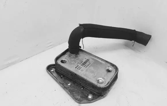 Mercedes-Benz E W211 Engine oil radiator A646188301