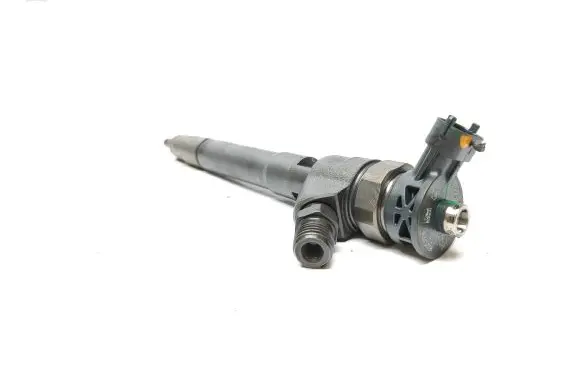 Renault Trafic III (X82) Fuel injector 0445110546 HMLGT1205R