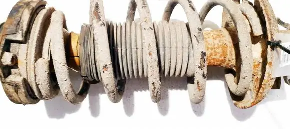 Skoda Roomster (5J) Front coil spring 