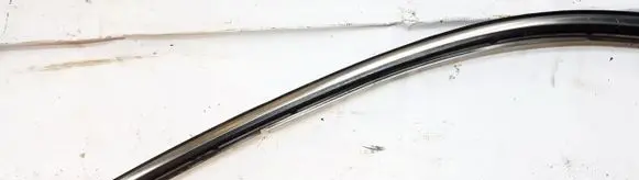 Hyundai XG Front door glass trim molding 