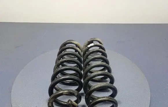Rear coil spring