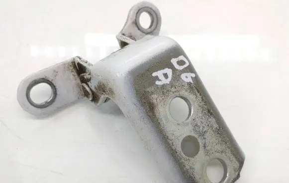 Rear door lower hinge