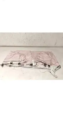 Volkswagen ID.4 Roof airbag 11A880742J