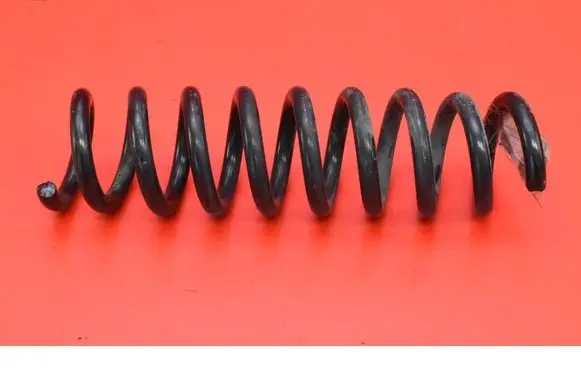 Rear coil spring