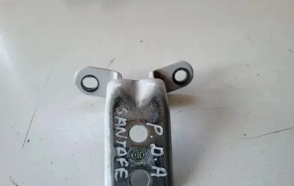 Hyundai Santa Fe Front door lower hinge 