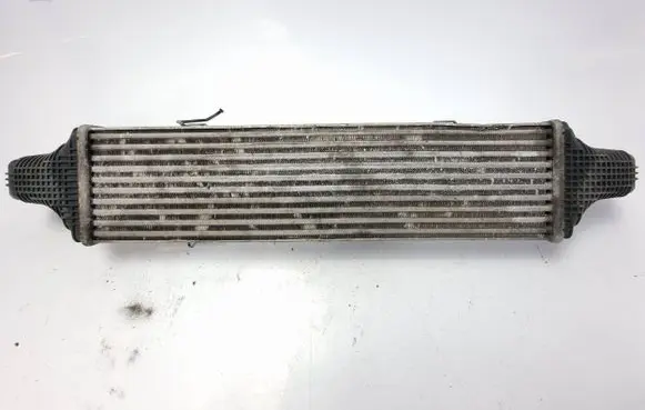 Mitsubishi Montero Intercooler radiator A2045000200