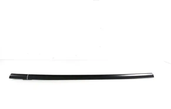 Tesla Model 3 Rear door trim (molding) 1080746-00-F