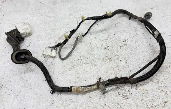 Front door wiring loom