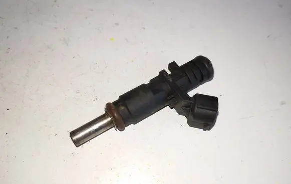 Peugeot 207 Fuel injector 7528176