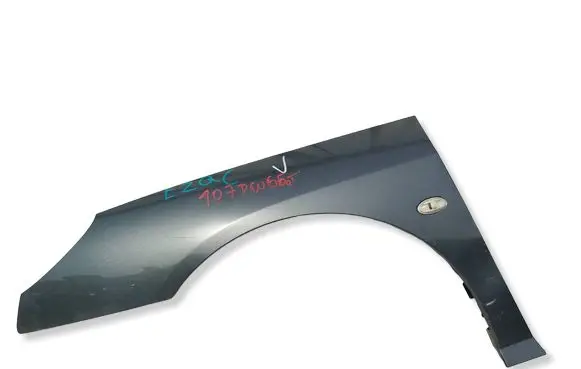Peugeot 407 Fender 54E4