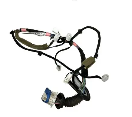 Front door wiring loom