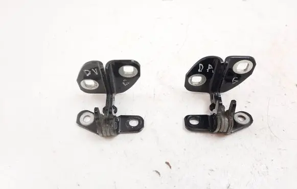Rear door lower hinge