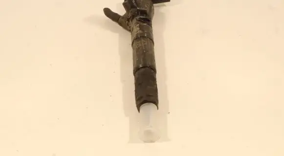 Renault Fluence Fuel injector H8200704191