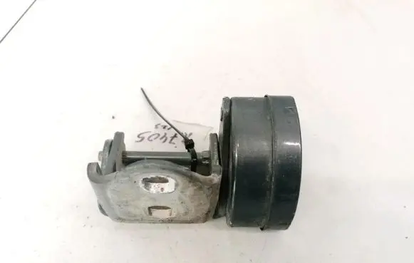 Renault Megane II Rear door lower hinge