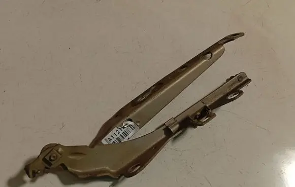 Volvo S60 Engine bonnet/hood hinges 