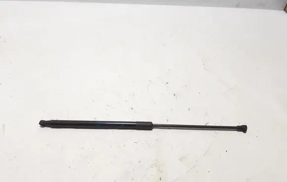 Toyota C-HR I Tailgate strut 68950F4010