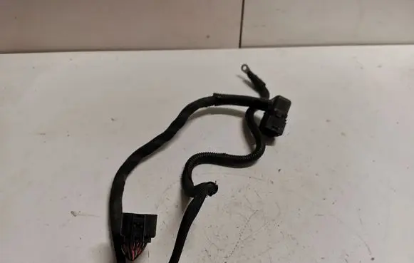 BMW X1 F48 F49 Other wiring loom
