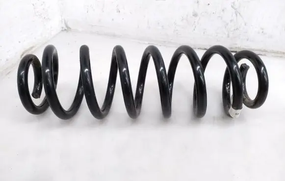 Rear coil spring