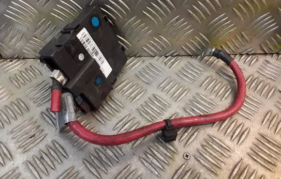 Positive wiring loom