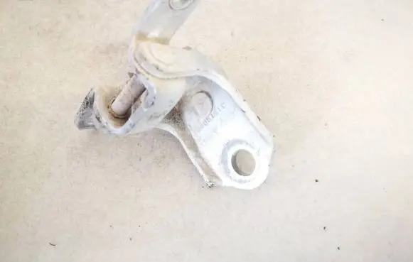 Ford Fiesta Rear door lower hinge