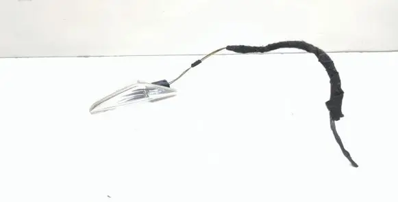 BMW X5 E70 Front fender indicator light 7171007
