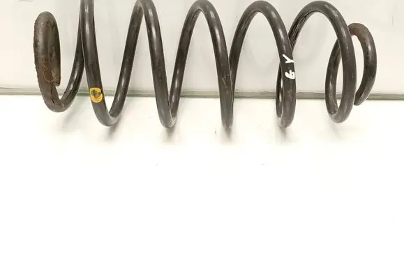 Rear coil spring