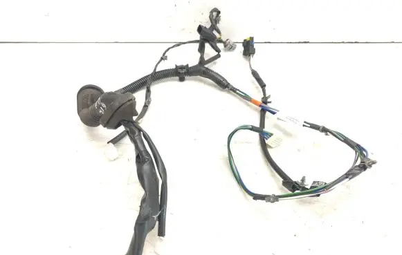 Nissan Pathfinder R51 Front door wiring loom 24125EB300